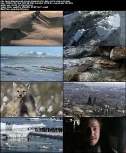 David Attenborough Frozen Planet S01E02