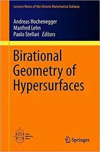Birational Geometry of Hypersurfaces: Gargnano del Garda, Italy, 2018 (Lecture Notes of the Unione Matematica Italiana)