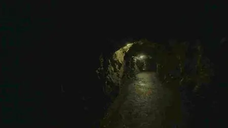 BBC - Hunting the Nazi Gold Train (2016)
