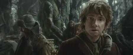 The Hobbit: The Desolation of Smaug (2013) [Extended Edition]