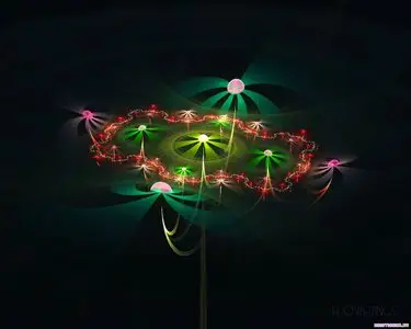 3D Flowers