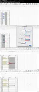 Microsoft Excell ( Conditional formatting)