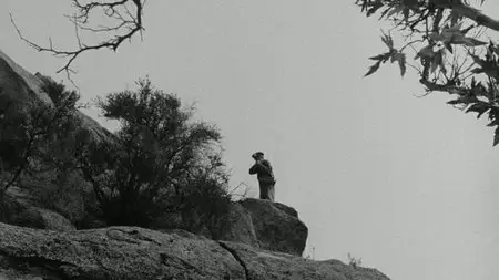 Crashout (1955)