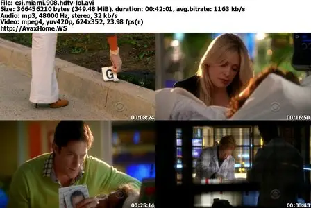 CSI: Miami S09E08