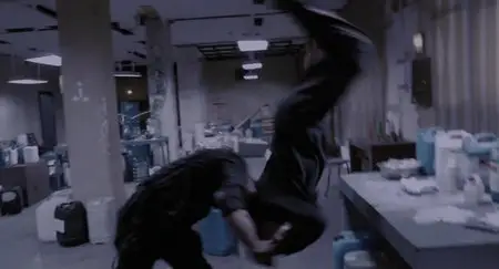 The Raid: Redemption (2011) [Reuploaded]