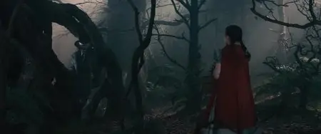 Into the Woods (2014)