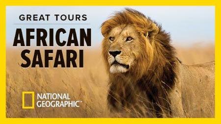 The Great Tours: African Safari