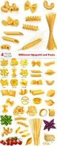 Vectors - Different Spagetti and Pasta