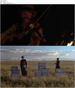 Days of Heaven (1978) [The Criterion Collection]