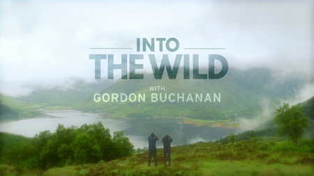 BBC - Into the Wild with Gordon Buchanan (2016)
