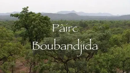 BBC Soillse - Pairc Boubandjida (2012)