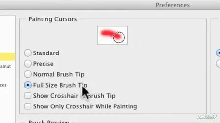 Ask Video - Photoshop CS6 101: Mastering The Workspace