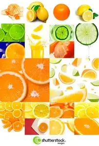 Citrus stock images