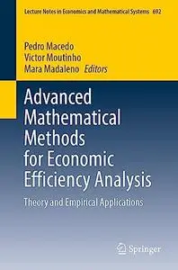 Advanced Mathematical Methods for Economic Efficiency Analysis