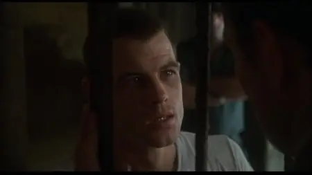 Midnight Express (1978) [30th Anniversary Edition]