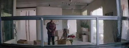 Shortwave (2016)