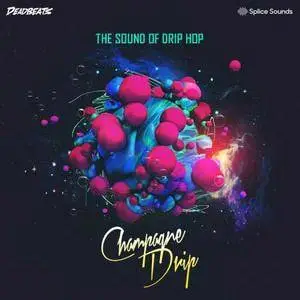 Splice Sounds Champagne Drip - The Sound of Drip Hop WAV