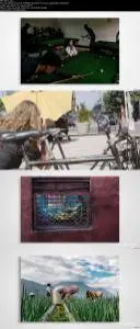 Frame a Great Shot: Exploring Photo Composition