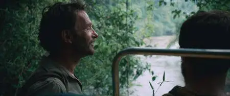 Jungle (2017)