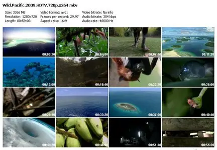 BBC -  Wild Pacific (2009)