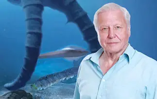 Discovery Channel - First Life with David Attenborough