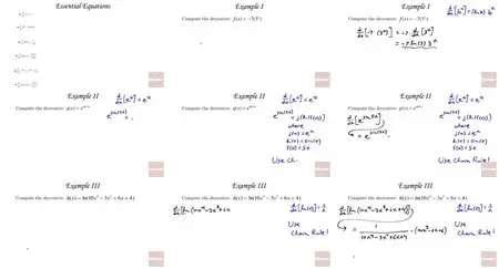 Educator.com - Mathematics: College Calculus: Level I