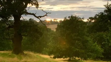 Ch4. - Ancient Secrets of Althorp: Charles Spencer (2021)