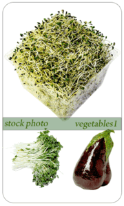 vegetables clipart part1