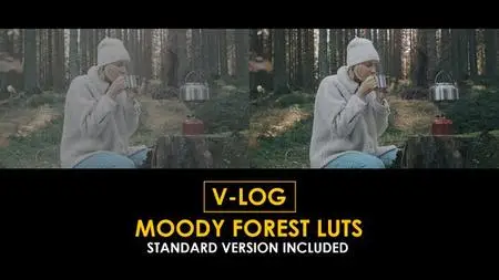 V-Log Moody Forest and Standard LUTs 51433971