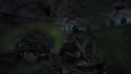 Extinct or Alive S01E07
