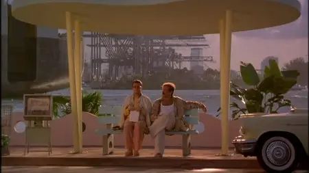 The Birdcage (1996)