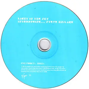 Steve Hillage - Light In The Sky - Introducing ... Steve Hillage (2003)