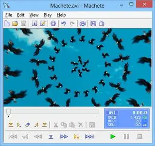 MacheteSoft Machete 5.0 Build 33