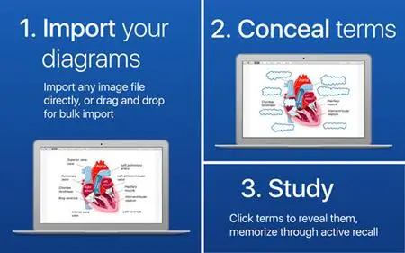 Flashcards for Diagrams 2.2.1