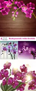 Vectors - Backgrounds with Orchids