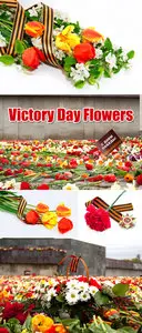 Stock Photo - 9 May Victory Day Flowers