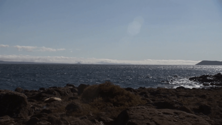 The Galapagos Affair: Satan Came to Eden (2013)