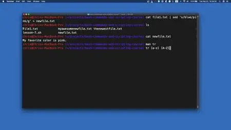 Bash Commands and Scripting - From Beginner to Expert