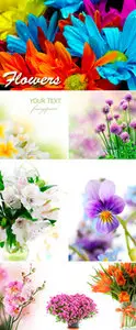 Stock Photo - Amazing Flowers 2
