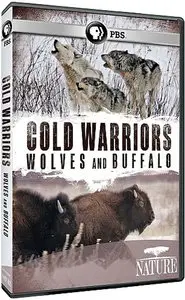 Nature S31E08 - Cold Warriors: Wolves and Buffalo (2013)