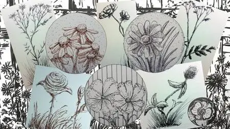 Drawing Nature - Quick Sketch Flower Edition