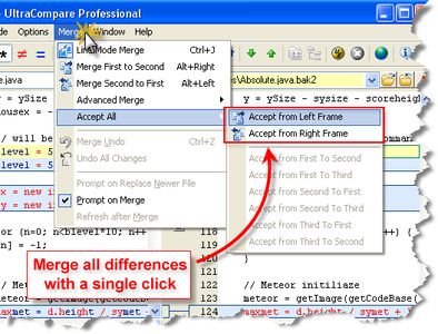 IDM UltraCompare Professional v5.10