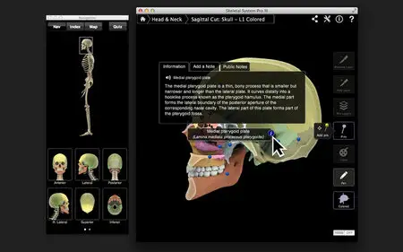 Skeletal System Pro III v3.0 Mac OS X