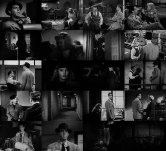 Double Indemnity (1944) [Criterion, REMASTERED]