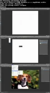 Cmivfx - Photoshop Introduction