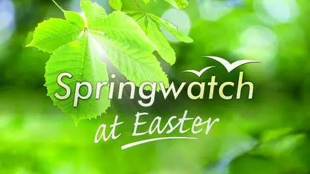 BBC - Springwatch at Easter (2016)