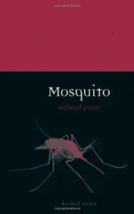 Mosquito