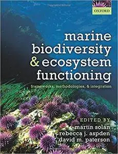 Marine Biodiversity and Ecosystem Functioning: Frameworks, methodologies, and integration