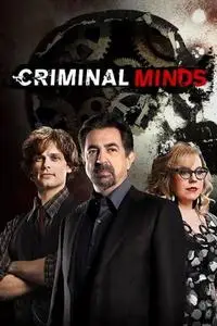 Criminal Minds S13E19