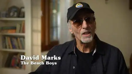The Beach Boys: Pet Sounds (2016)
